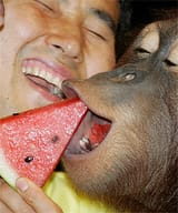 monke