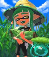 cornfields
