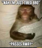 1691423395391999