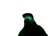 1731135228155197