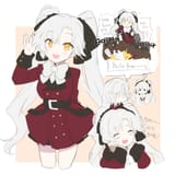 AUG Para SKK coat