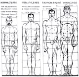 Loomis&#039; Proportions