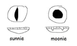 IMPORTANT DIFFERENCES