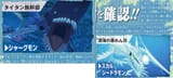 Shark and Skullseadra
