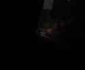 030210c2_thumb.jpg
