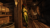 The Elder Scrolls V Skyrim Special Edition Screenshot 2025.06.17 - 21.17.17.53