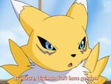 Renamon on gender