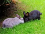 meanandmyfavoritebun
