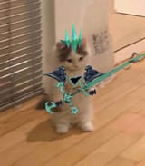 WHERE IS SHE
