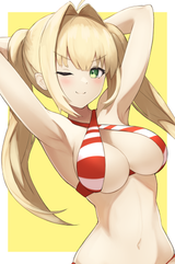 __nero_claudius_fate_and_1_more_drawn_by_pyonsan__266b68811273064776db287ed299dc9f