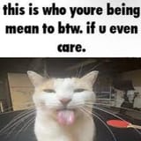 catmeanme
