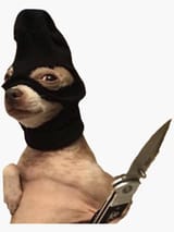 1742785230517983