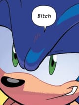 bitch