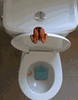 toilet-dive