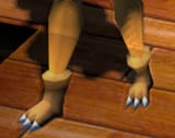 bearfeet