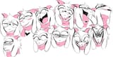 Faces