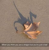 dragon leaf