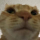 1551722582137