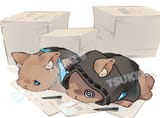 [twitter] tsukihana_l—2025.03.06—1897607633680711973—GlWoC92akAAC4UZ