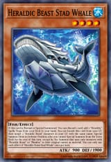 97662494