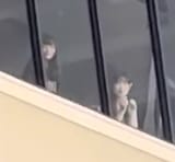 detected