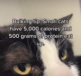1724301367849758