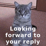 looking-forward-to-your-reply