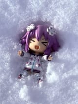 snowy nep