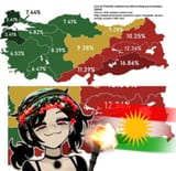 region by region inbreeding percentages in turkey