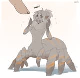 touche the spider