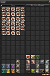ffxiv_dx11_lgVh6Nnot0