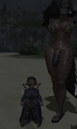 ffxiv_dx11_2025-06-22_12-48-47