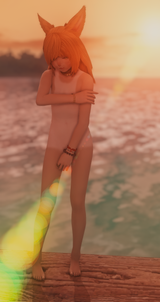 1706241231647