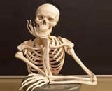 skelly