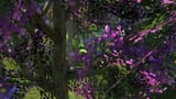 ffxiv_dx11_SqfUO1MYFX