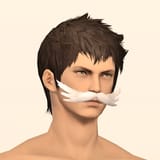 False Mustache