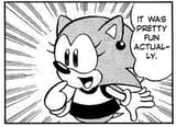 Anita_the_Hedgehog_en_STH_Manga