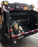 the fate of volibear