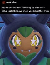 Ogerpon arrest