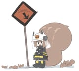 squirrel