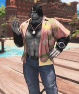 ffxiv_dx11 2025-06-13 20-17-35