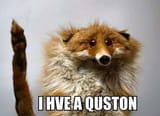 QuestionFox2
