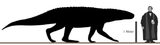 Barinasuchus_Size_Comparison