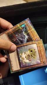 QCR Dinos