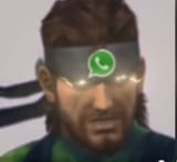 snakezap
