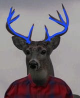 faaf9d8174906a8f3ba8550e39a98ed79b670f5a[1]