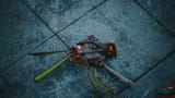 photomode_17102024_232846