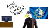hdg