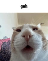 guh