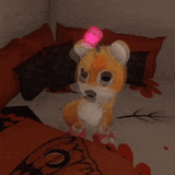 dance-tails